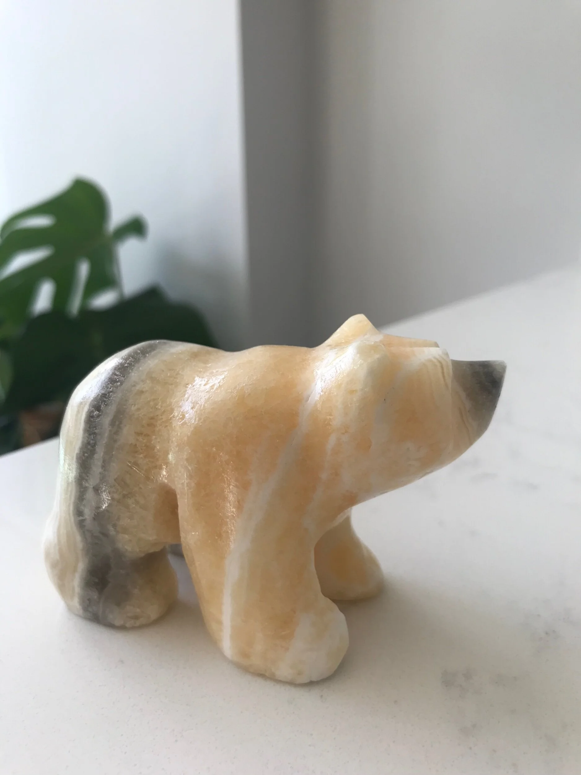 D2B54106-48D9-43AD-8DDE-ADF48AB4A518