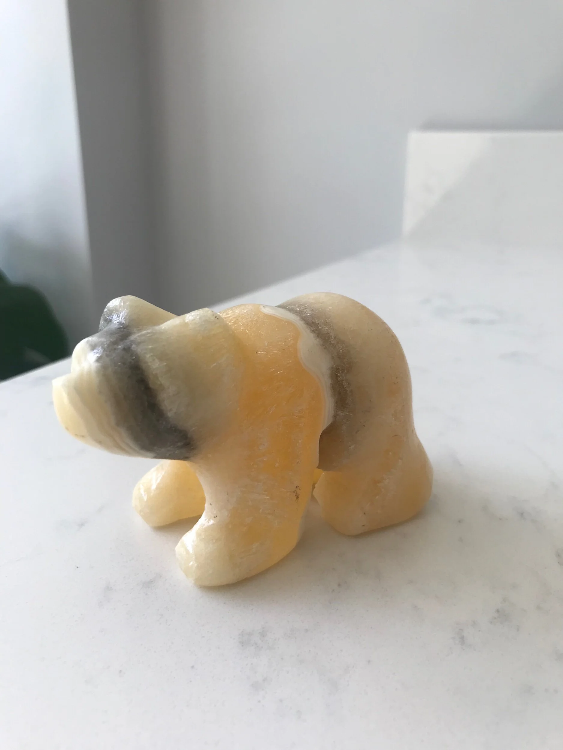 50FEB048-90A3-4D3C-814E-8C136F16E6C4