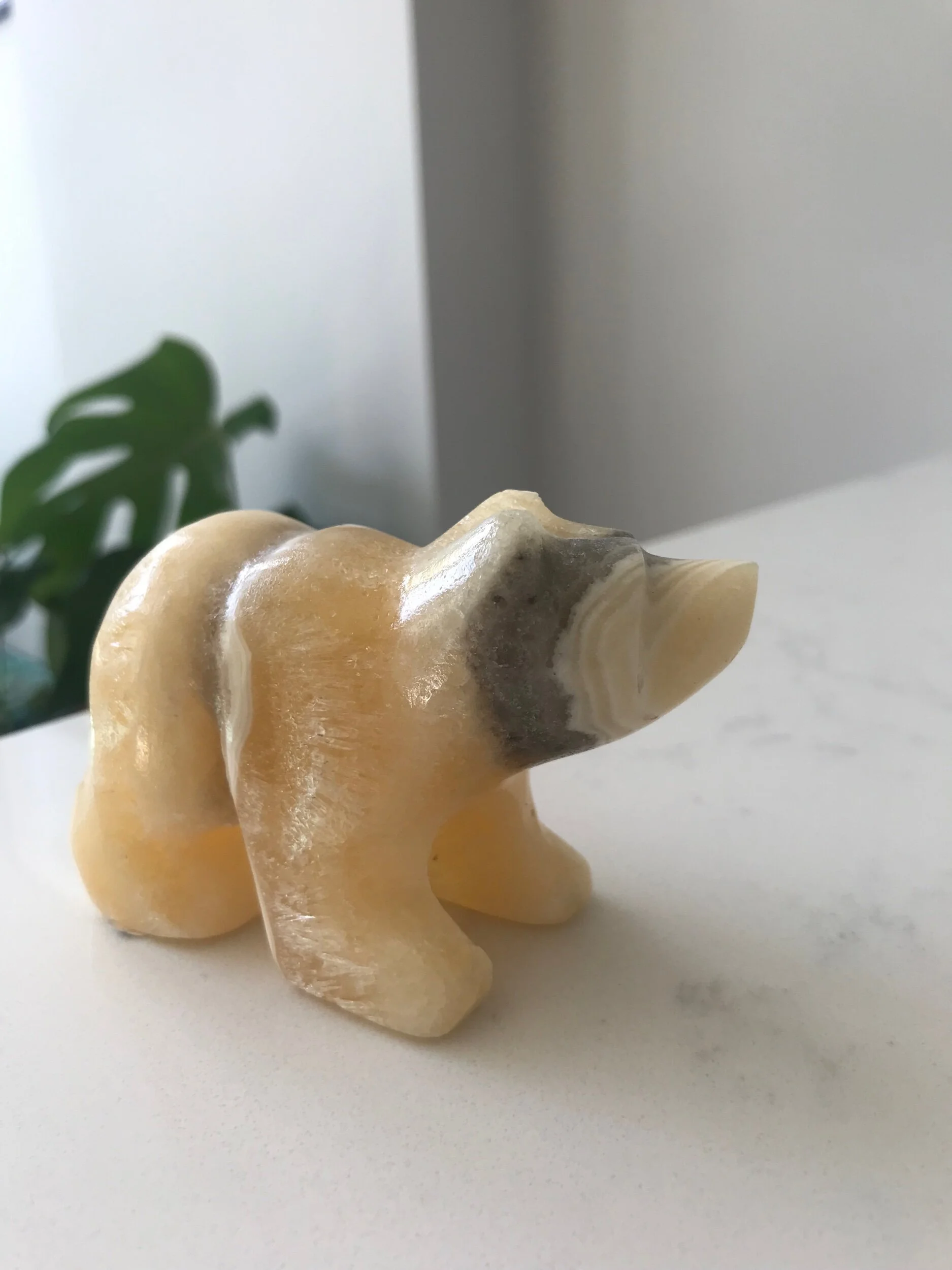 54EF9B5B-2C8C-4AA0-B52C-2A32ACC95448