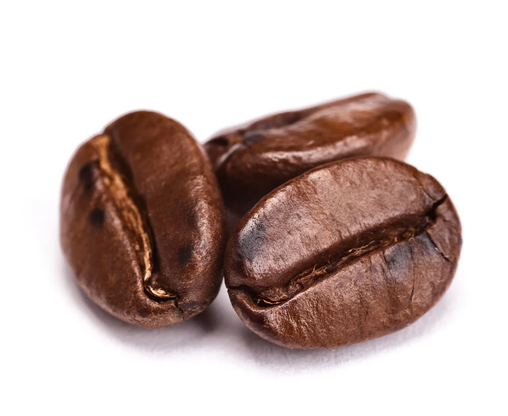 shutterstock_95463061.jpg