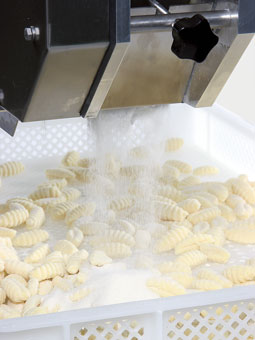 Gnocchi device GN20
