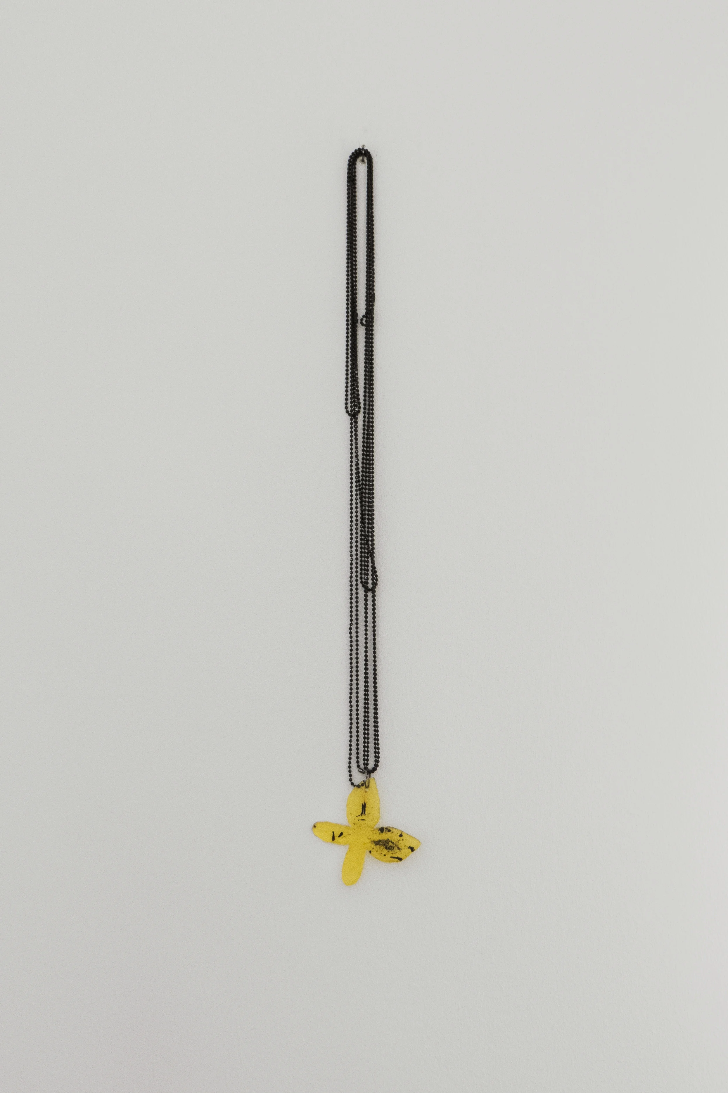 Studio tests, 2018, metal, dried flowers, medical grade gause