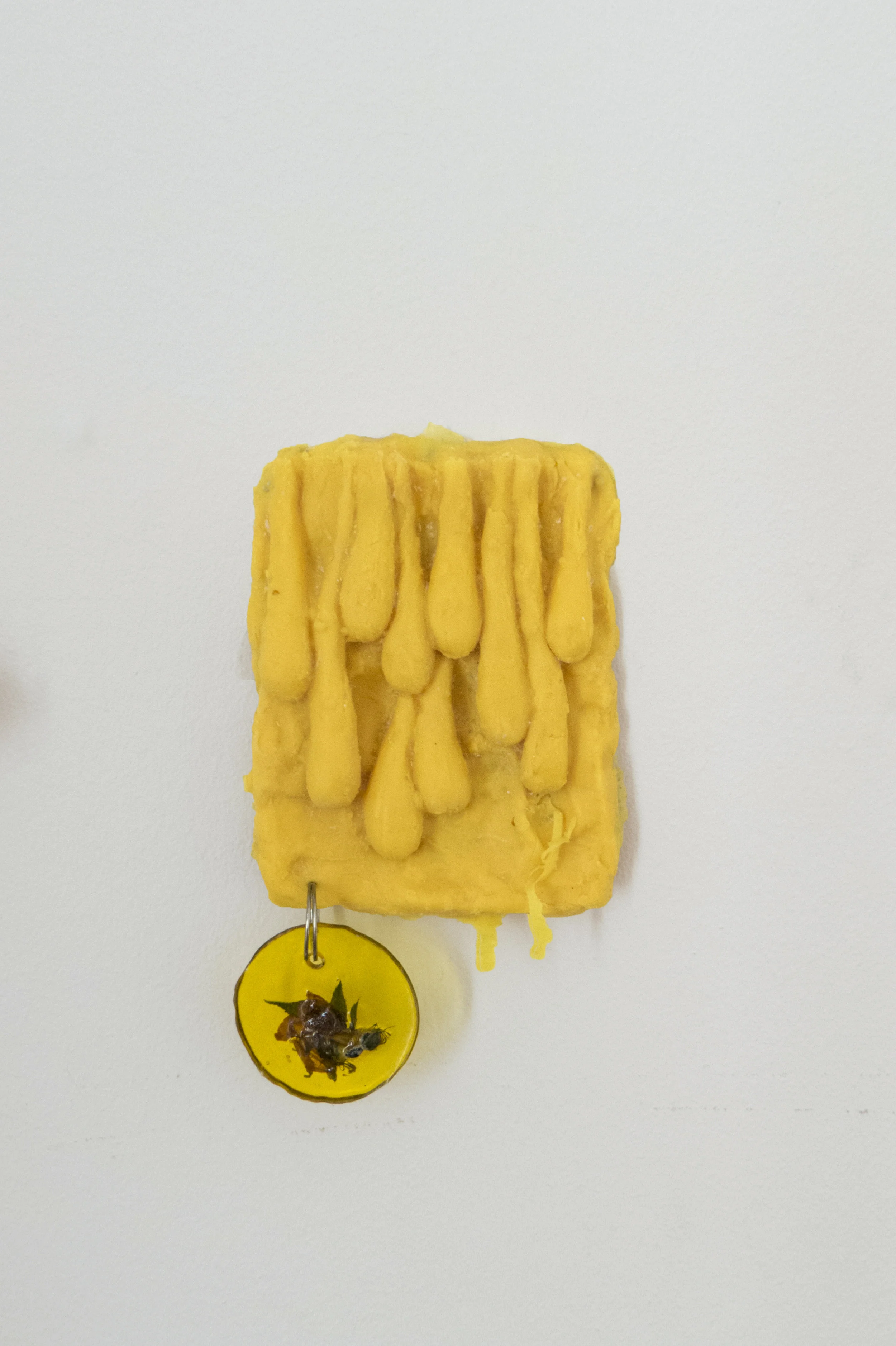 Studio tests, 2018, latex, metal, dried flowers, medical grade gause