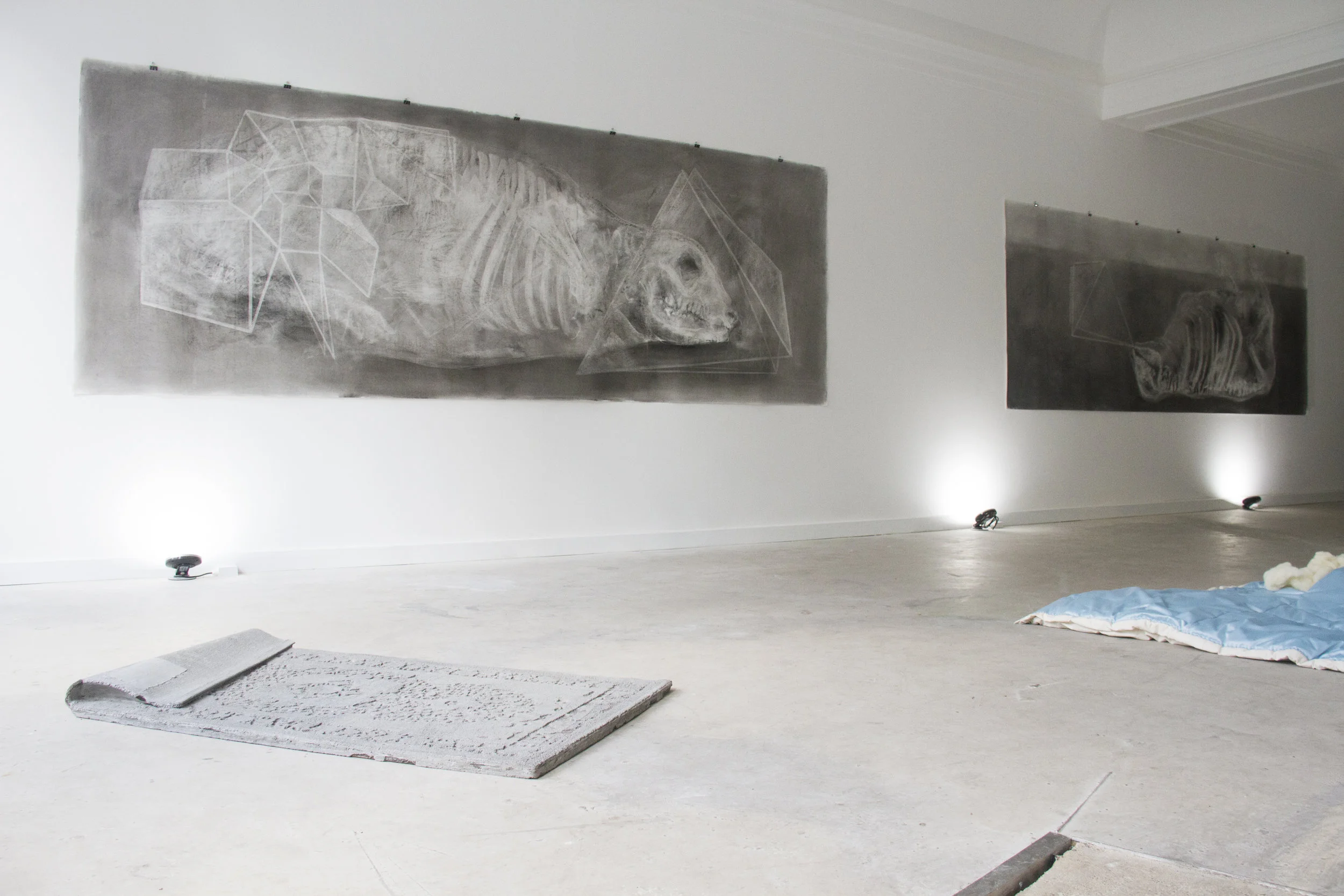 Install shot