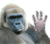 Say Hi: