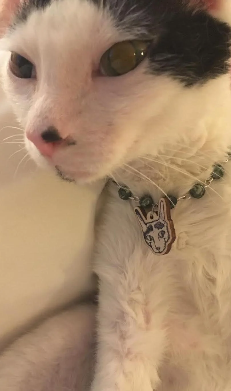 Pet Jewelry