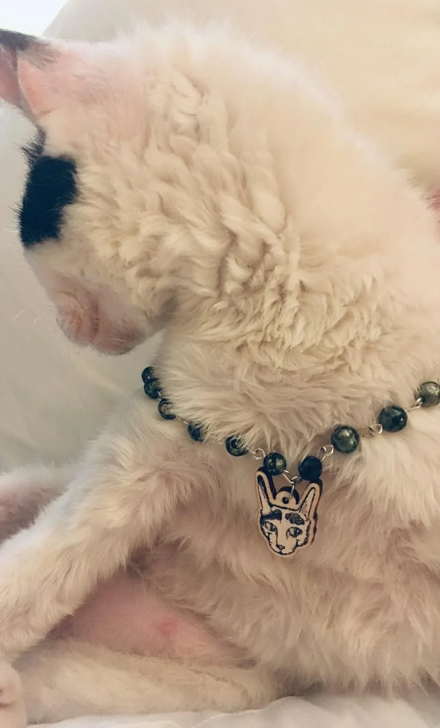 Pet Jewelry