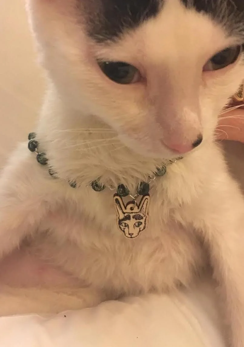 Pet Jewelry
