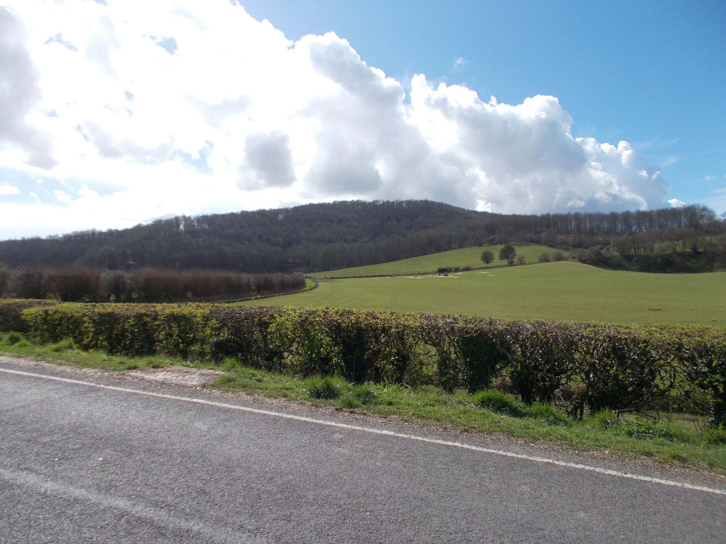 DSCN0122.JPG