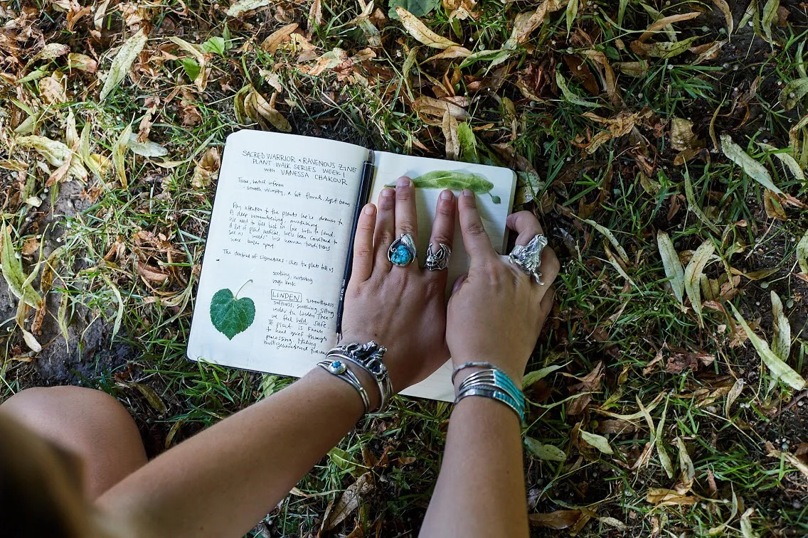 Week 3: Plant Walks with Vanessa Chakour