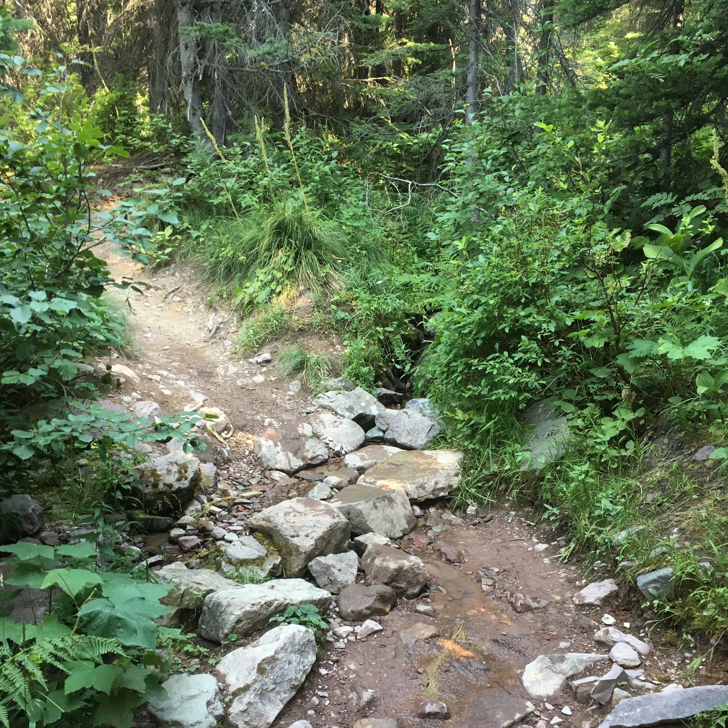 The Ethics of Consumption: Moon Mountain Gathering