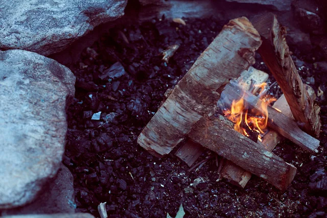 Rewilding As Resistance: Firestarters, foragers, and hearthkeepers