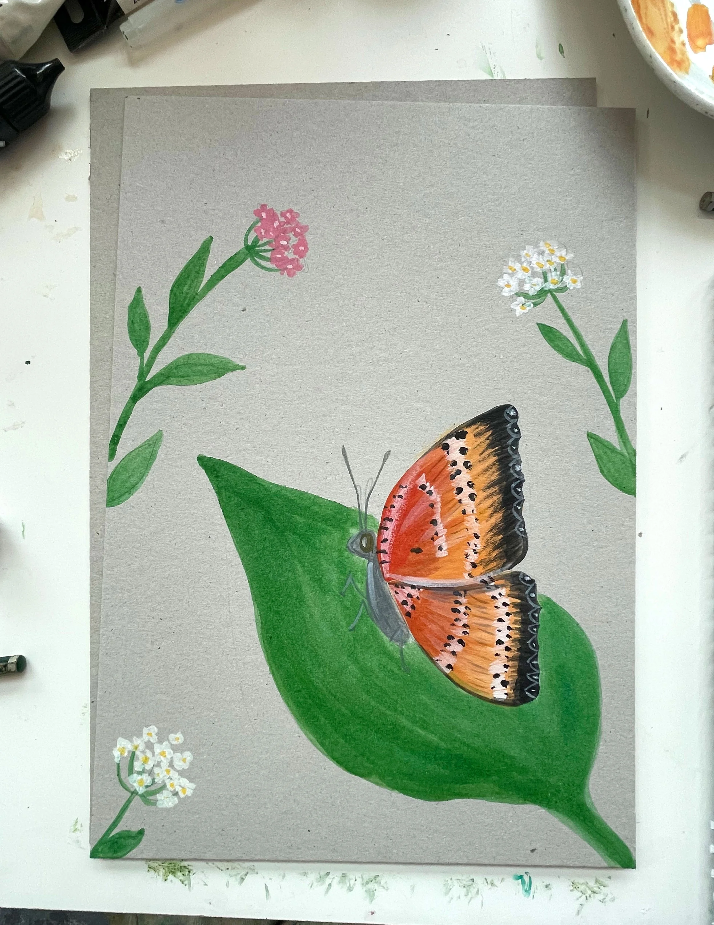WS-Butterfly-03.jpg