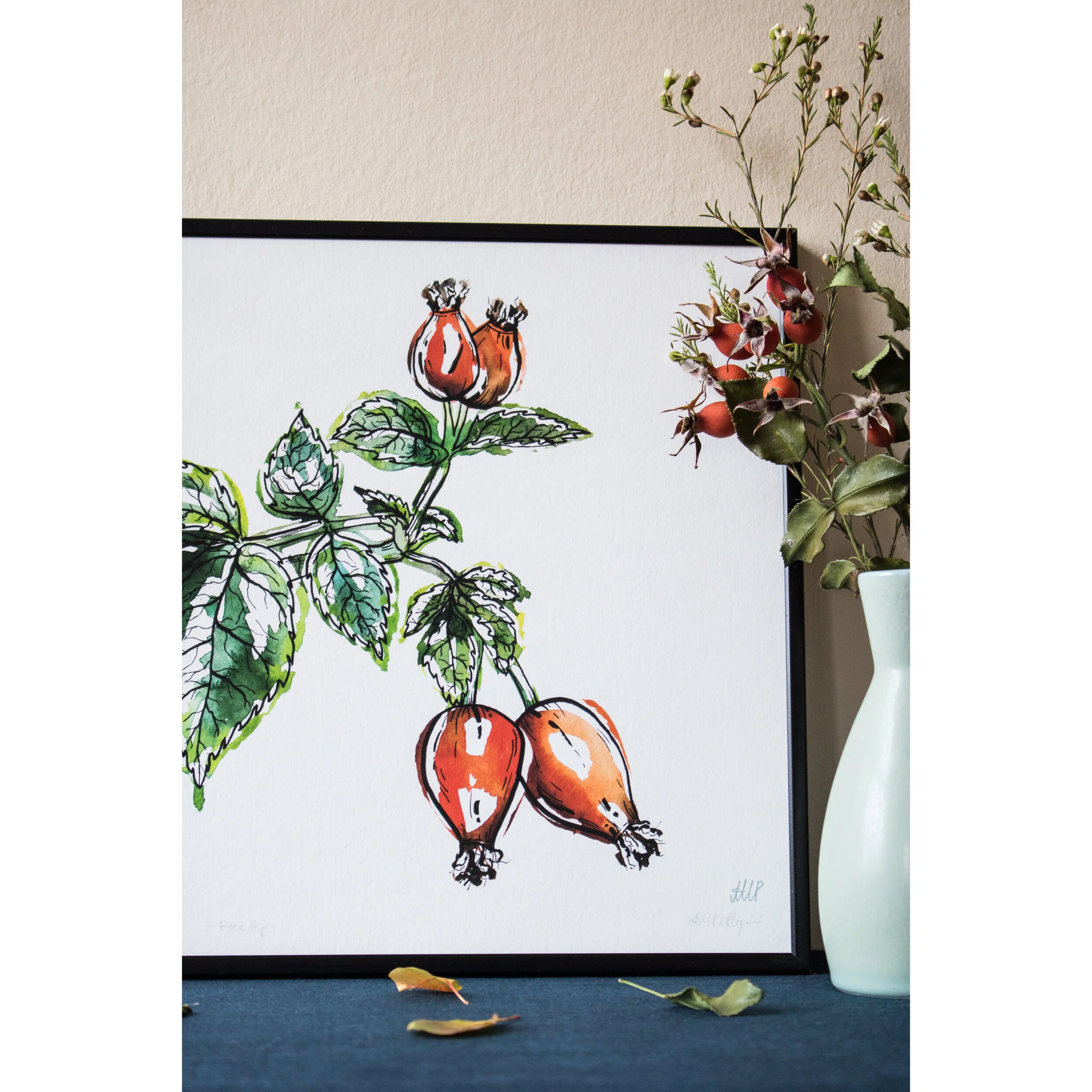 Rose Hip - Giclée Print