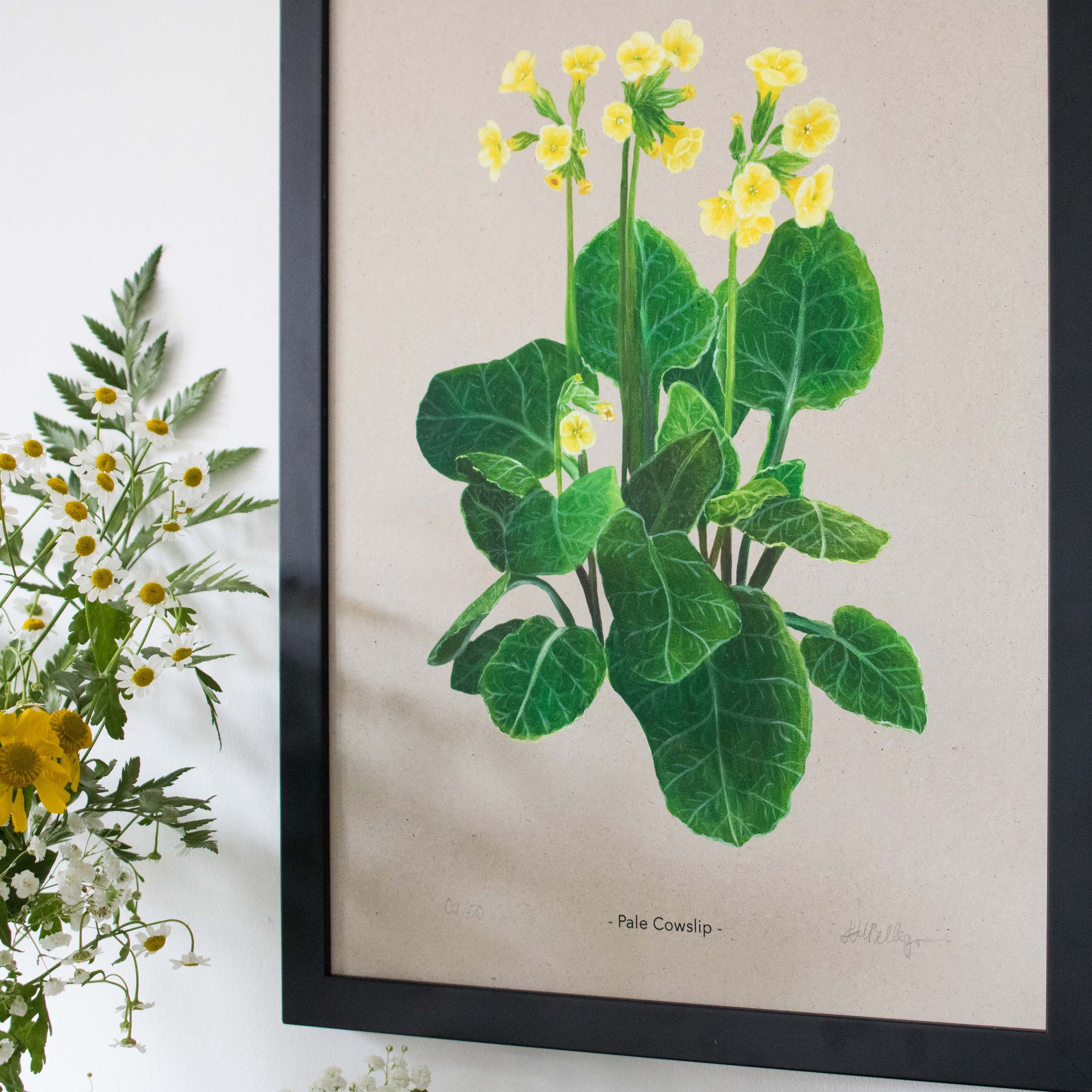 closeup of floral cowslip print in black frame with yellow flowers