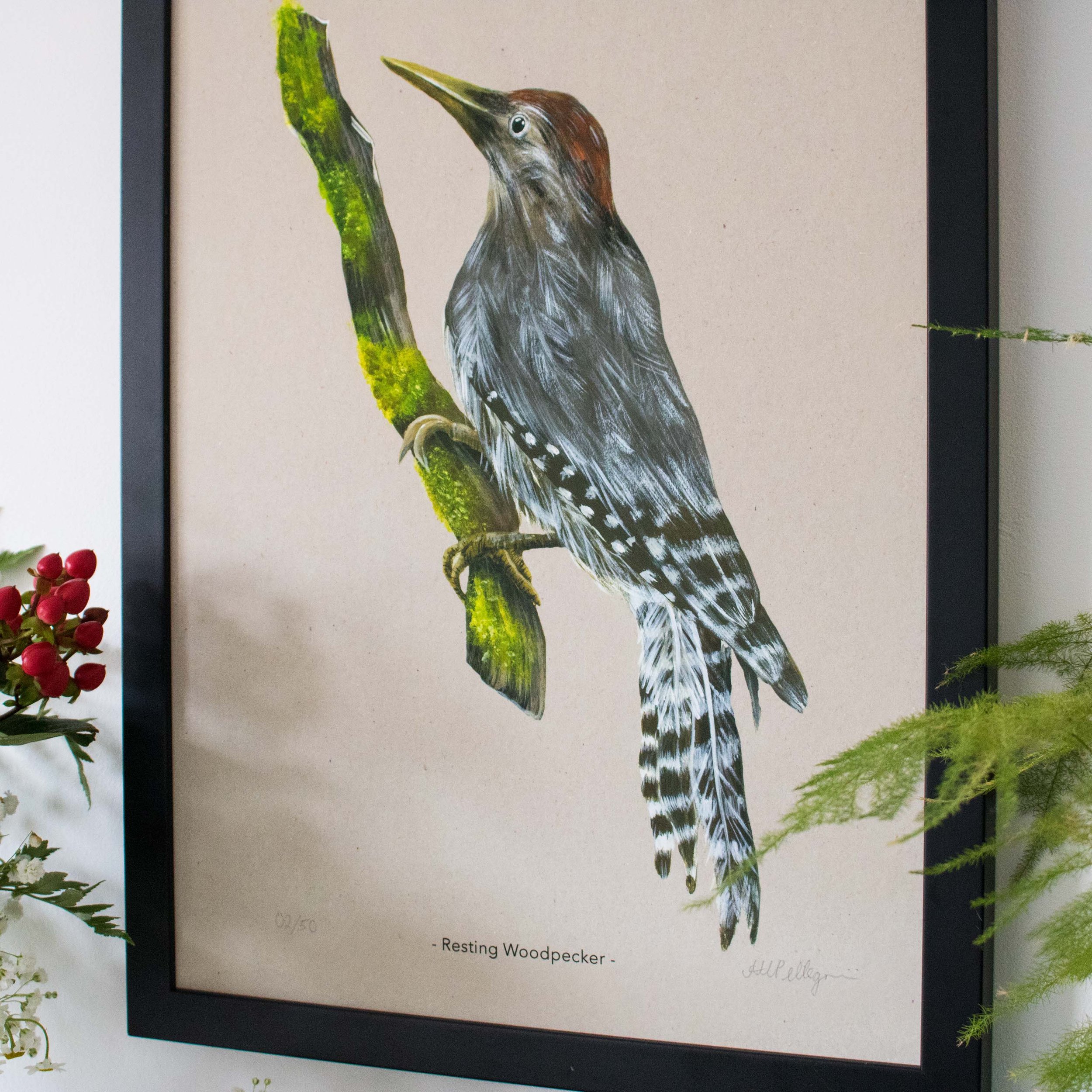 woodpecker fine art print in black frame with plants