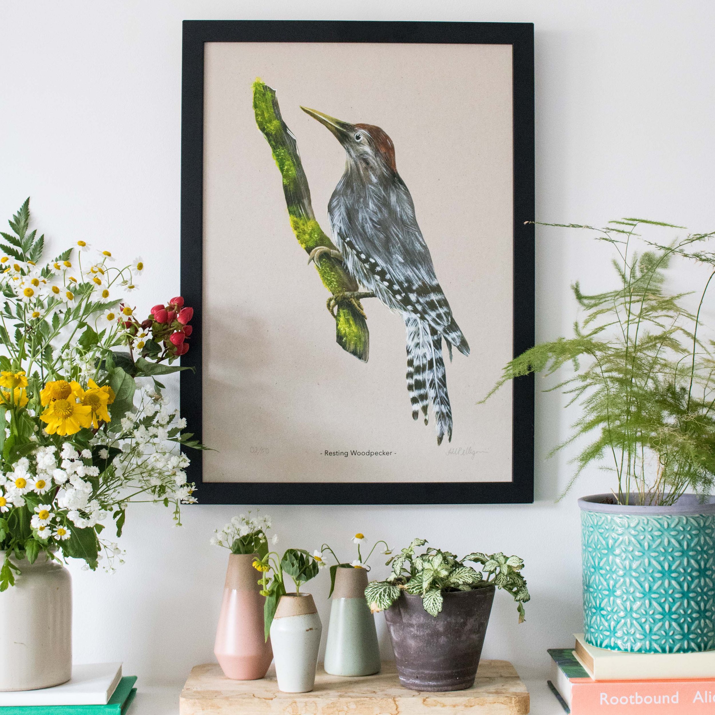 Woodpecker illustration print in black frame hanging on white wall with plants