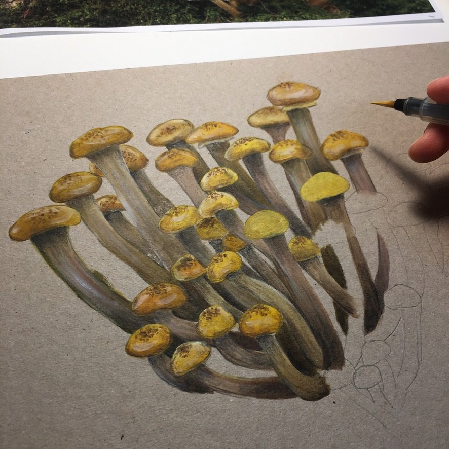 Honey Fungi painting.jpeg