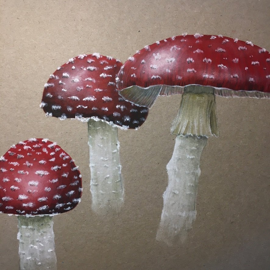 Fly Agaric mushroom painting.jpeg