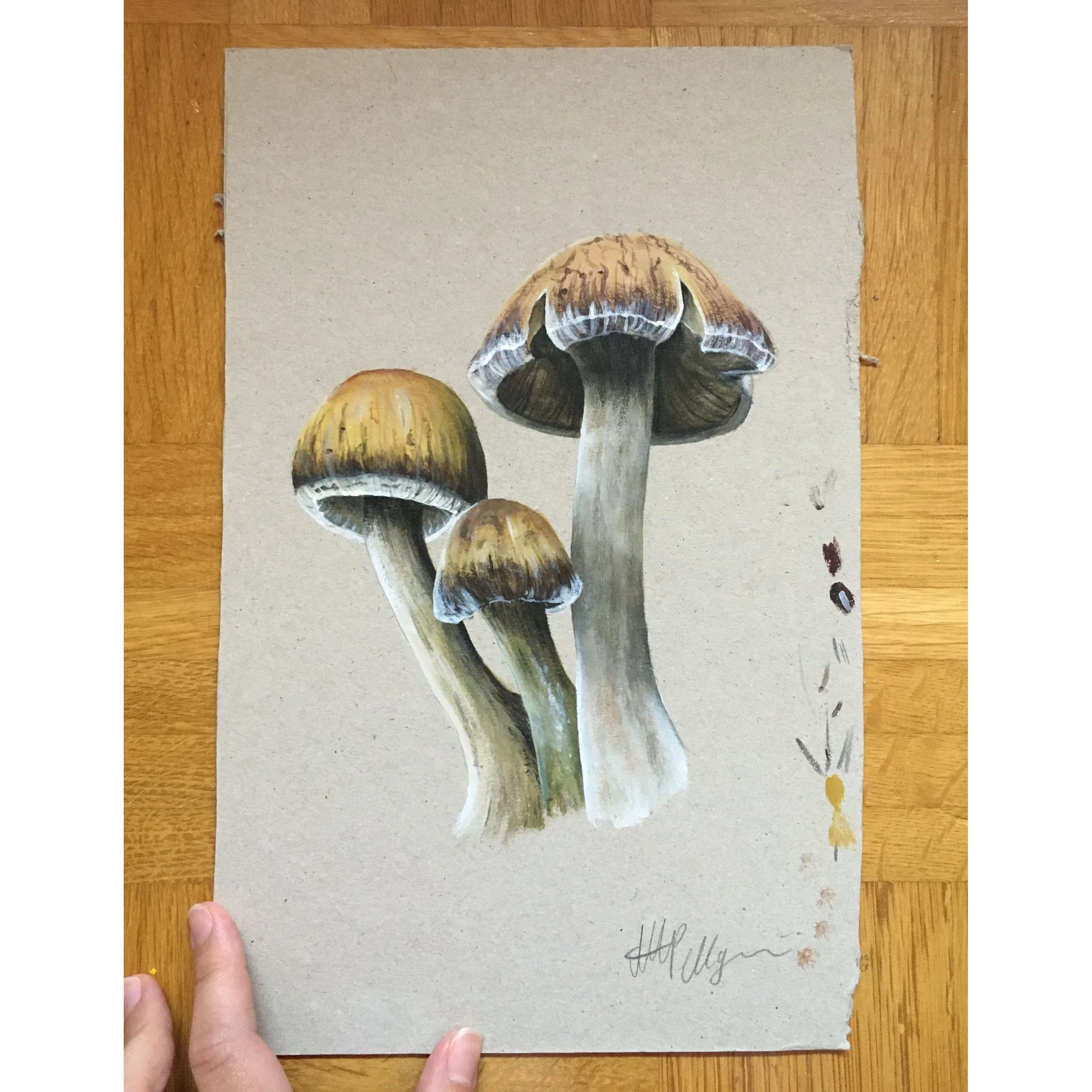 Mushroom group painting.JPG