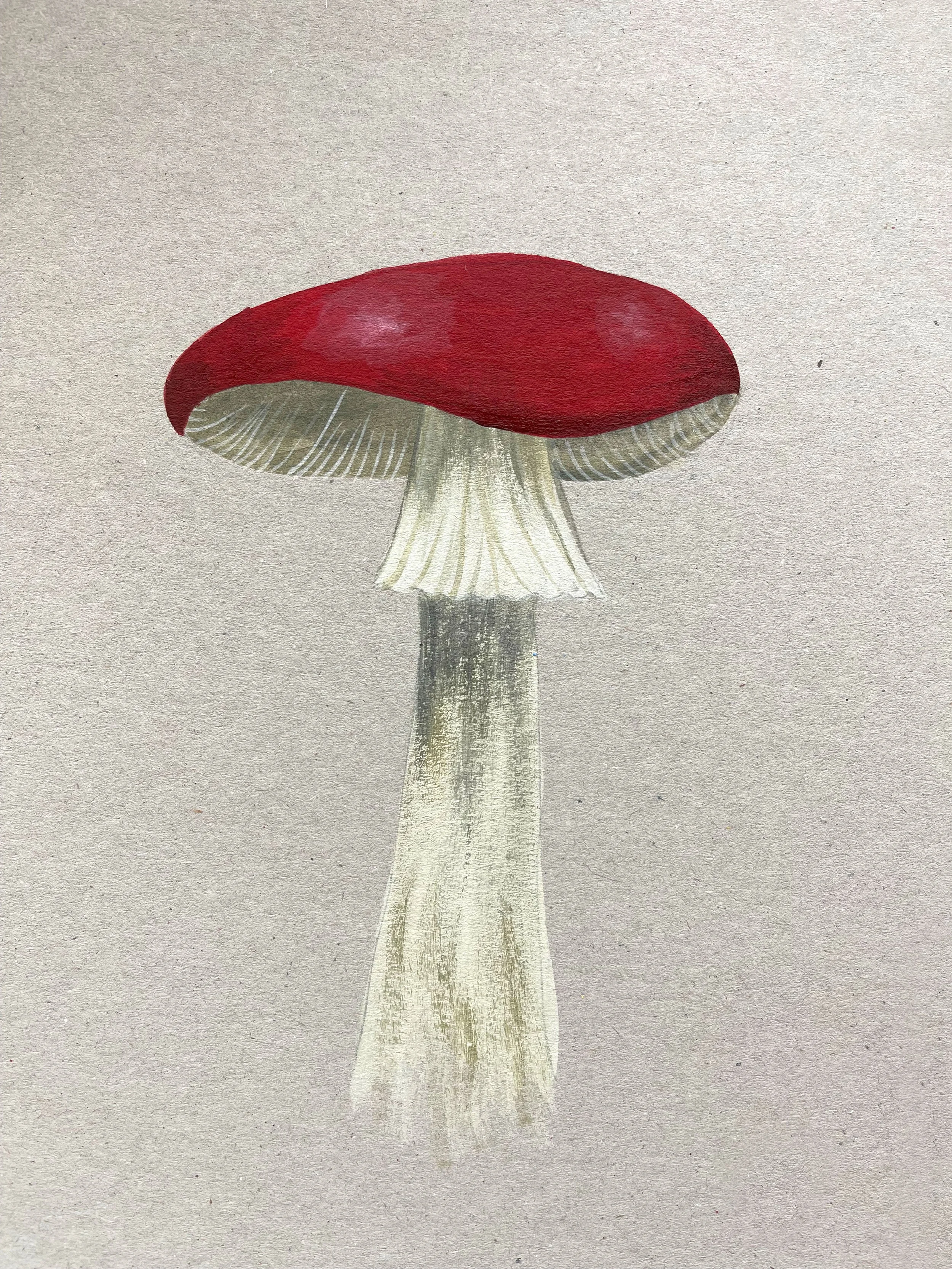 WS-Mushroom-04.jpg