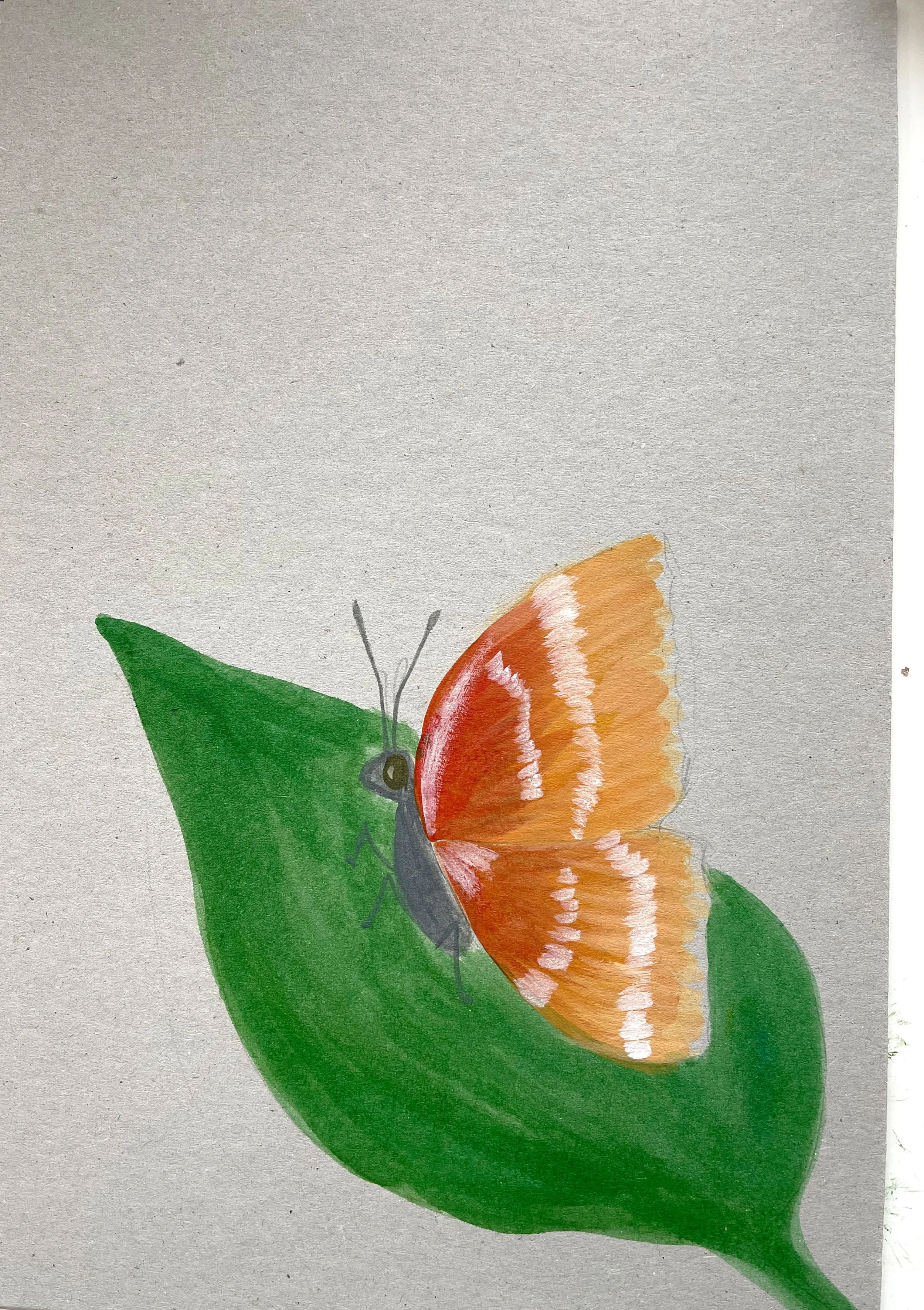 WS-Butterfly-02.jpg