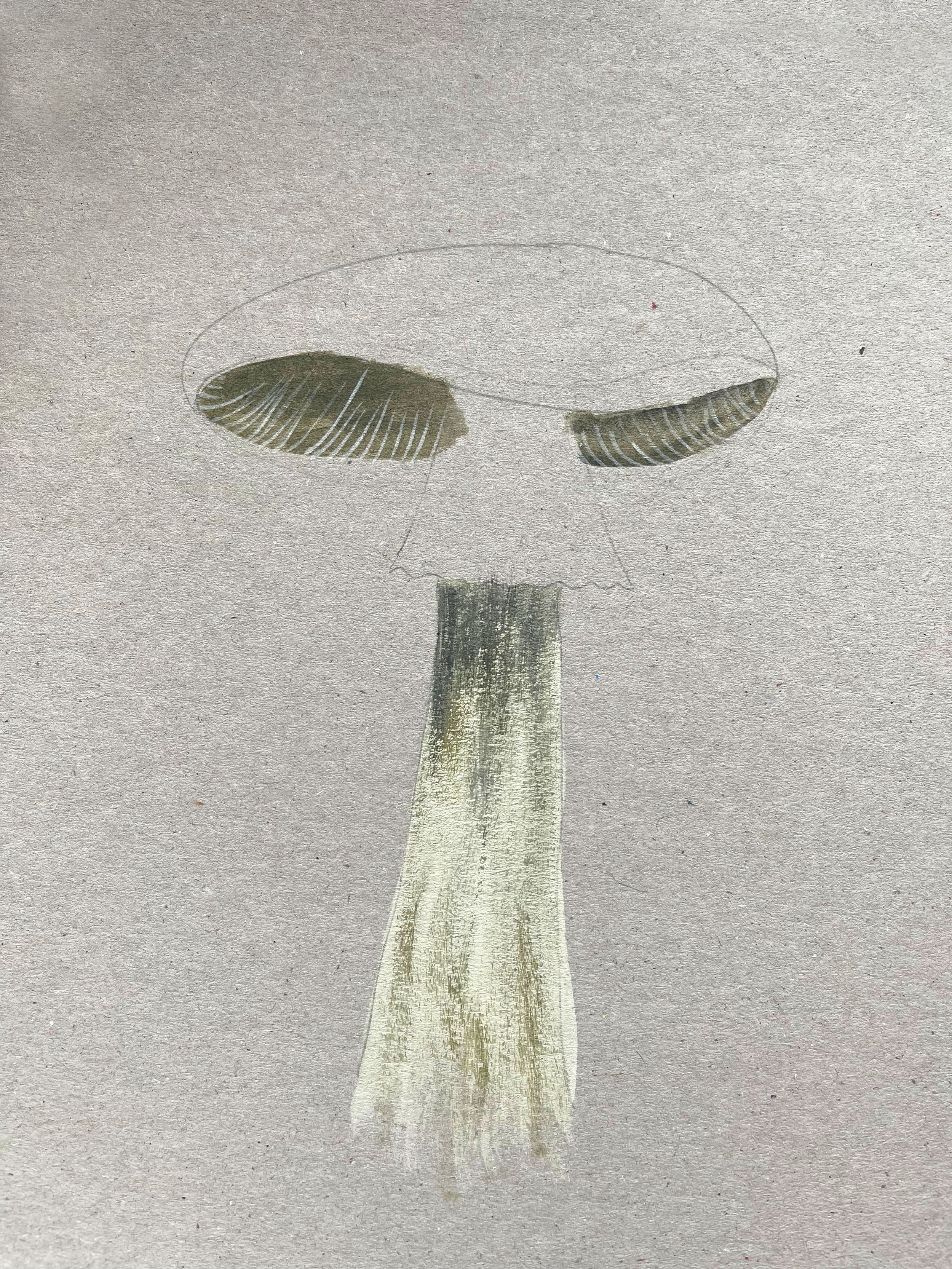 WS-Mushroom-03.jpg
