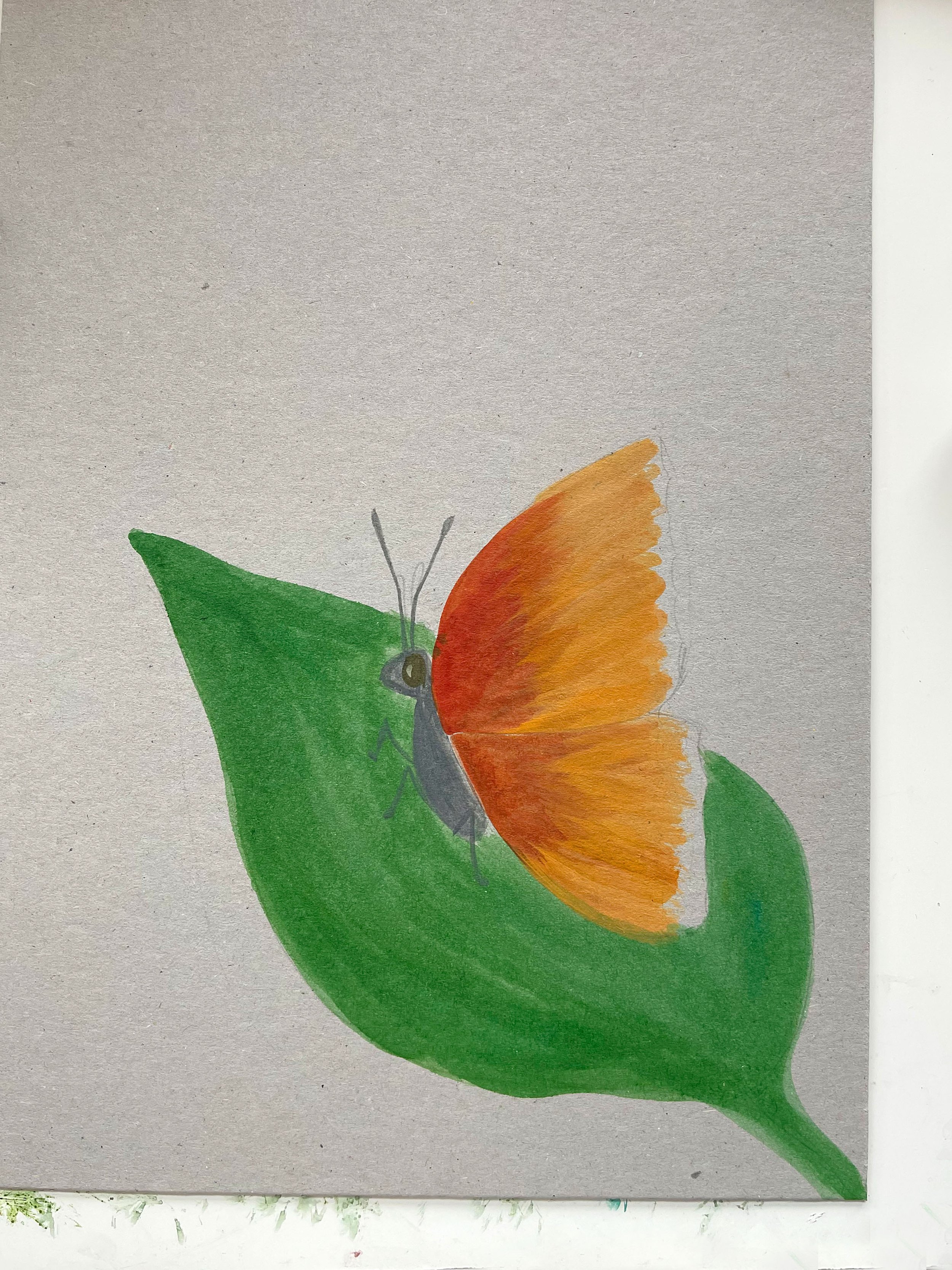 WS-Butterfly-05.jpg