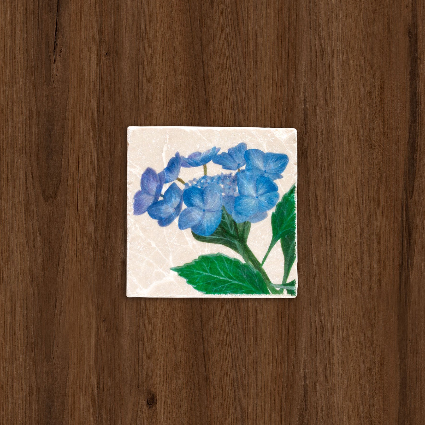 Blue Hydrangea stone coaster-table flatlay.jpg