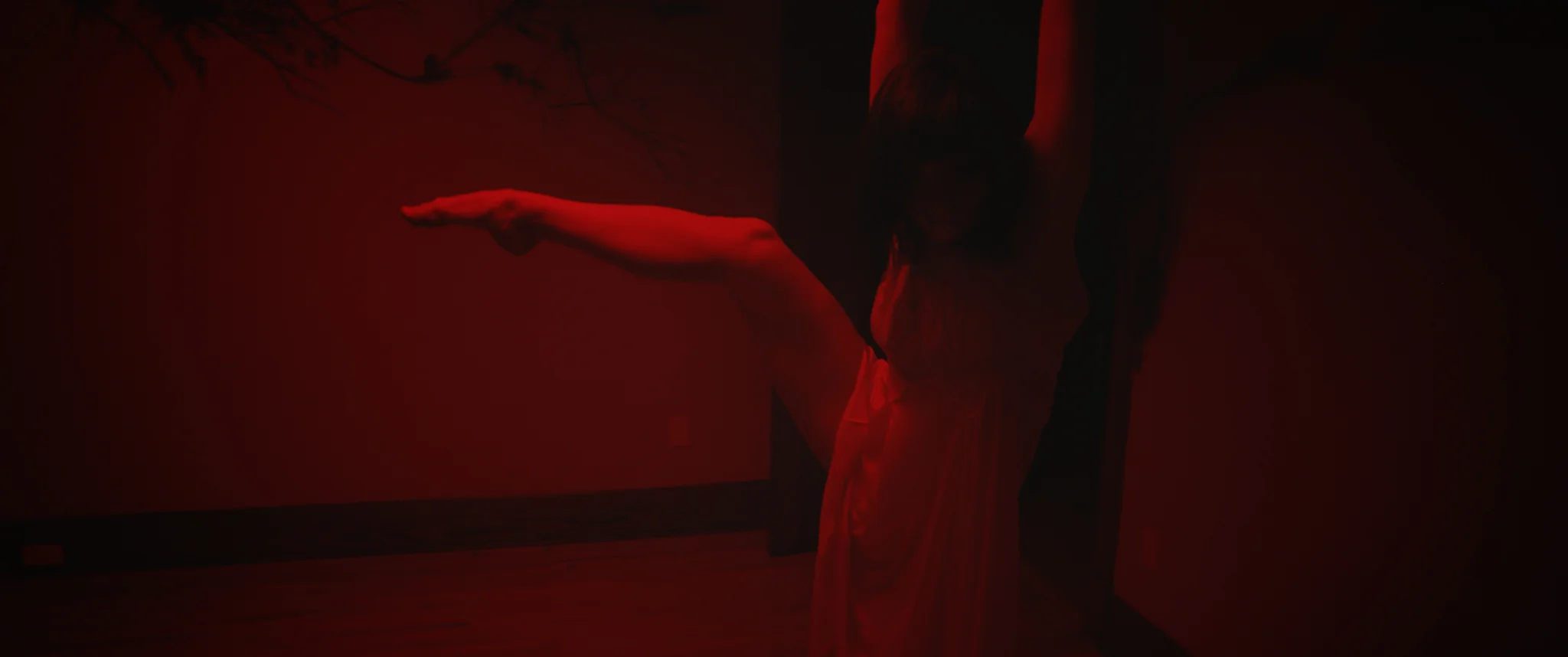 LaVoliere_FNC.mov.00_09_04_22.Image+fixe014.jpg