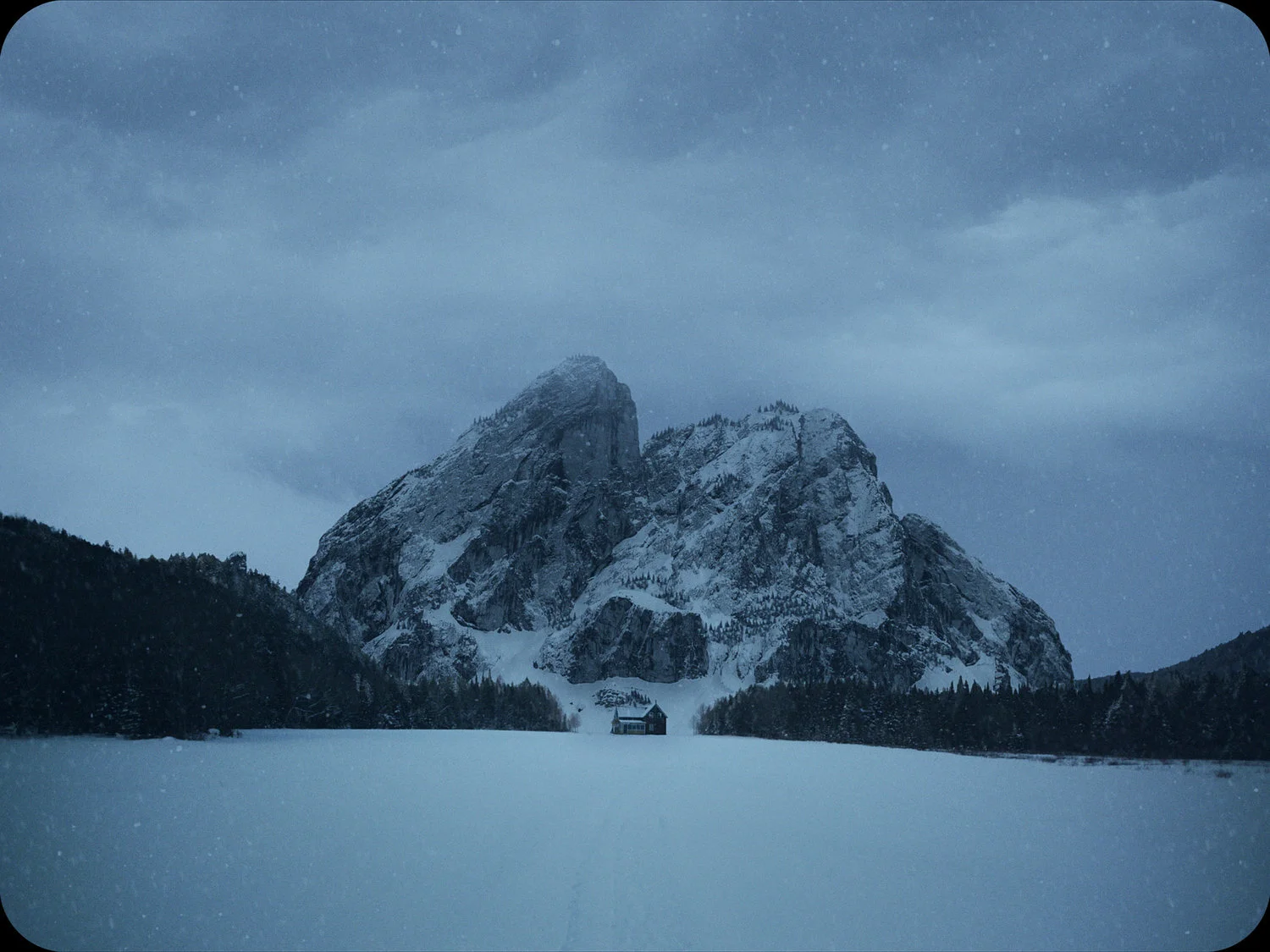 LADYWINTER_422_4k.00_00_06_14.Still001.jpg