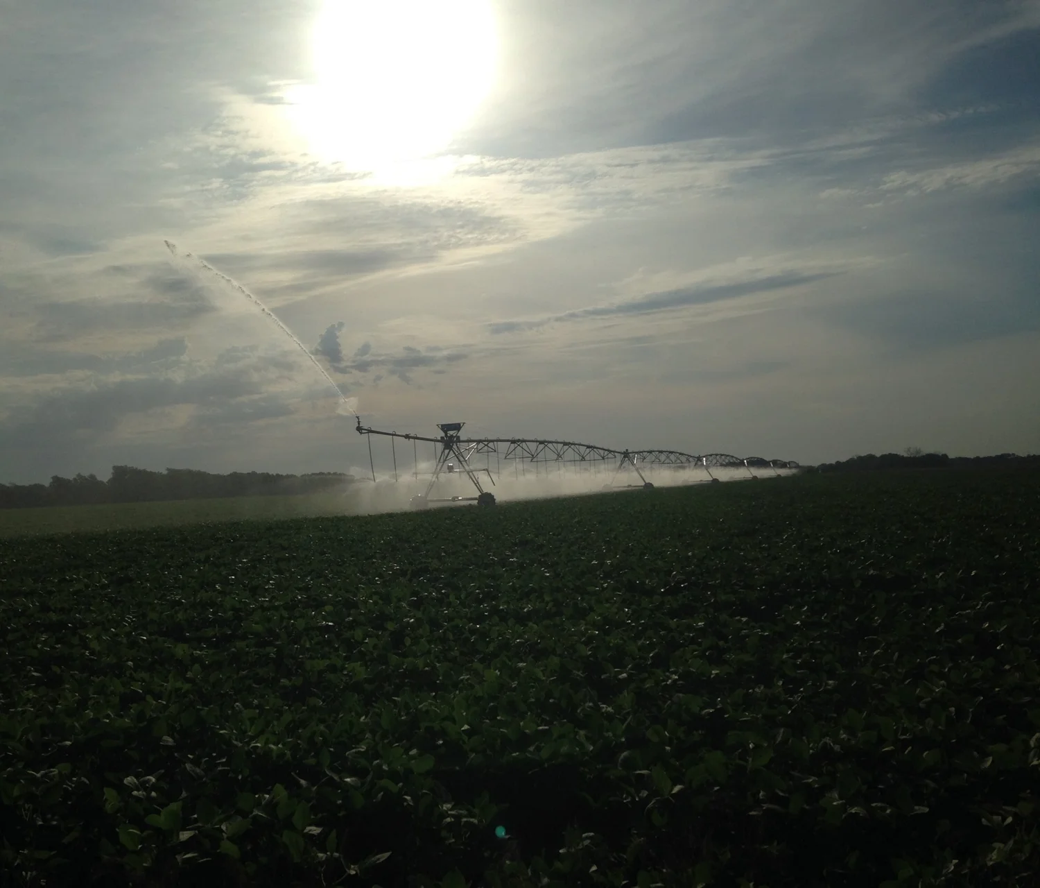 New Page — Inman Irrigation Specialists, Inc
