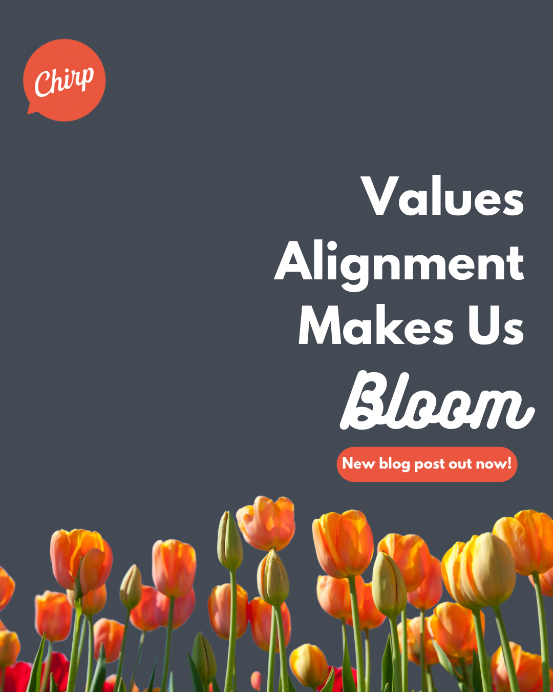 Values Alignment Makes Us Bloom