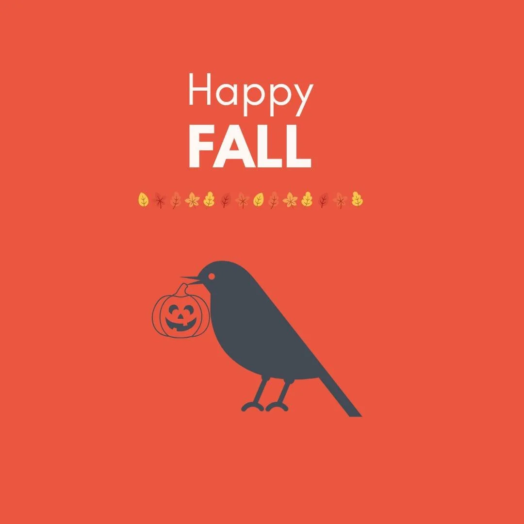 Happy Fall, Y'all! 🍂 The season of crisp air and time with loved ones is officially here- wishing everyone a cozy autumn!🍁 

#fallseason #happyfall #autumnalequinox