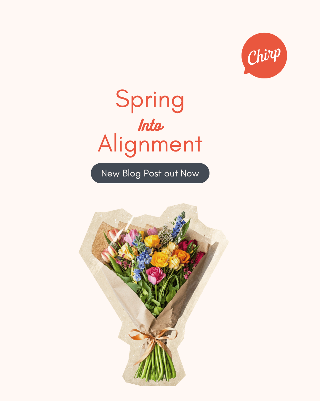 Spring Into Alignment