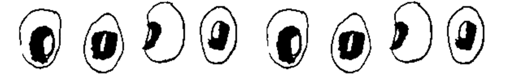beans.png