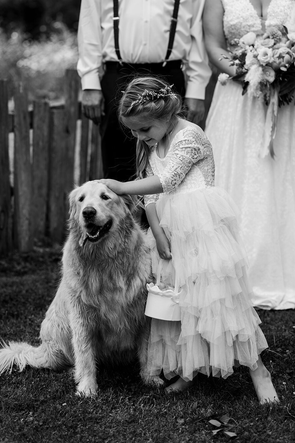 Dogs at Weddings (Copy)