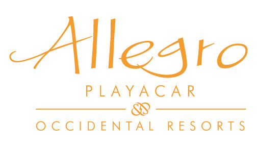allegroplayacar.jpg