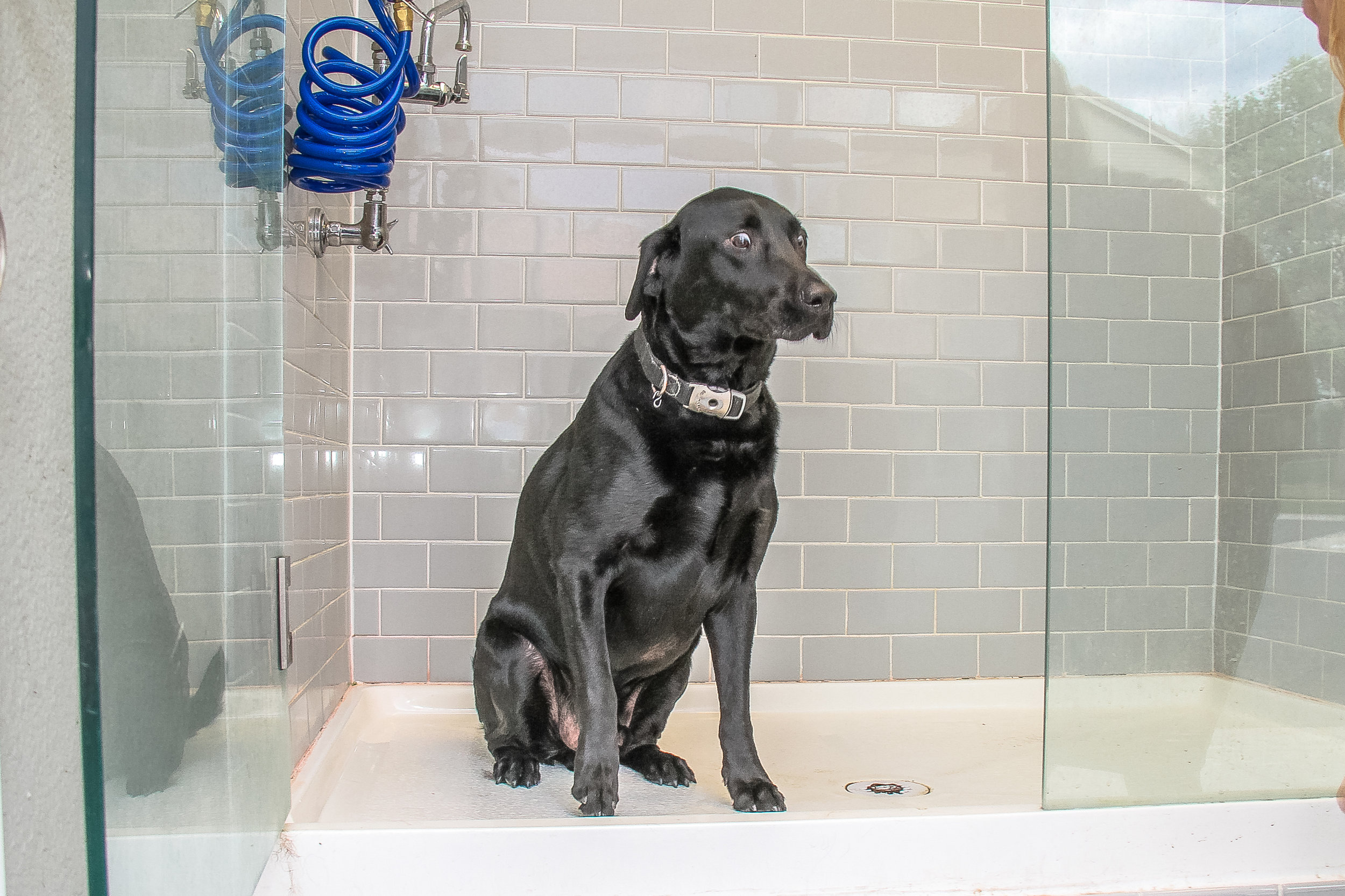 SB_Bell Flatiron Generics-1.JPG