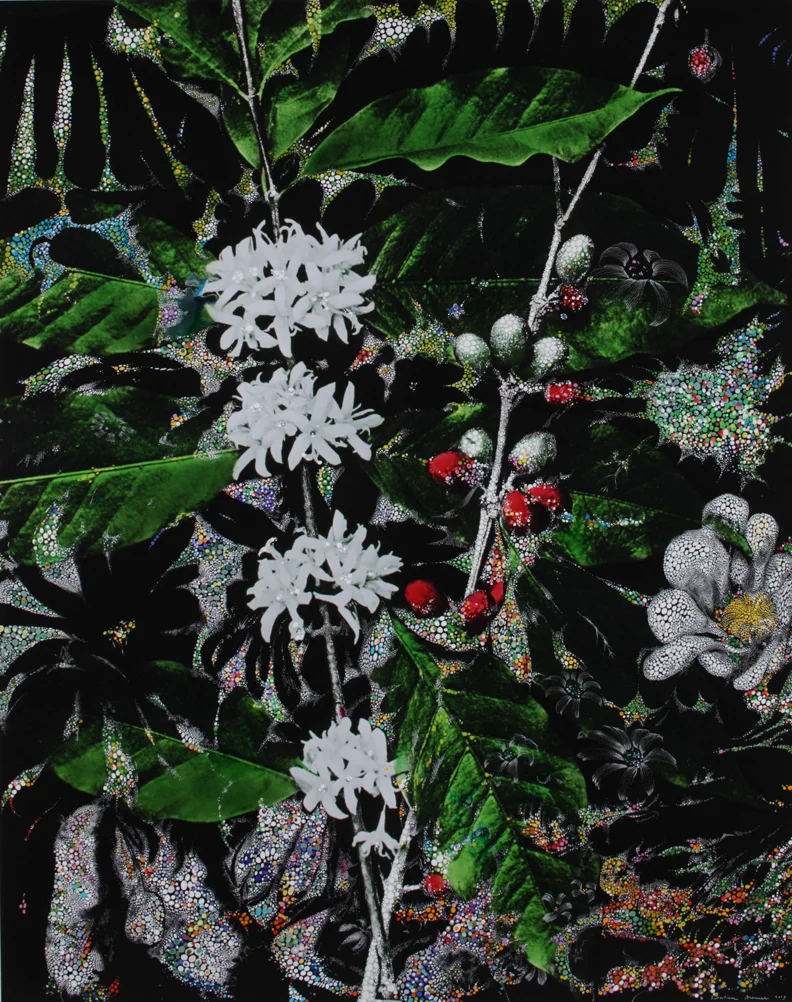 Mauritz' Large Brazilian Koffie