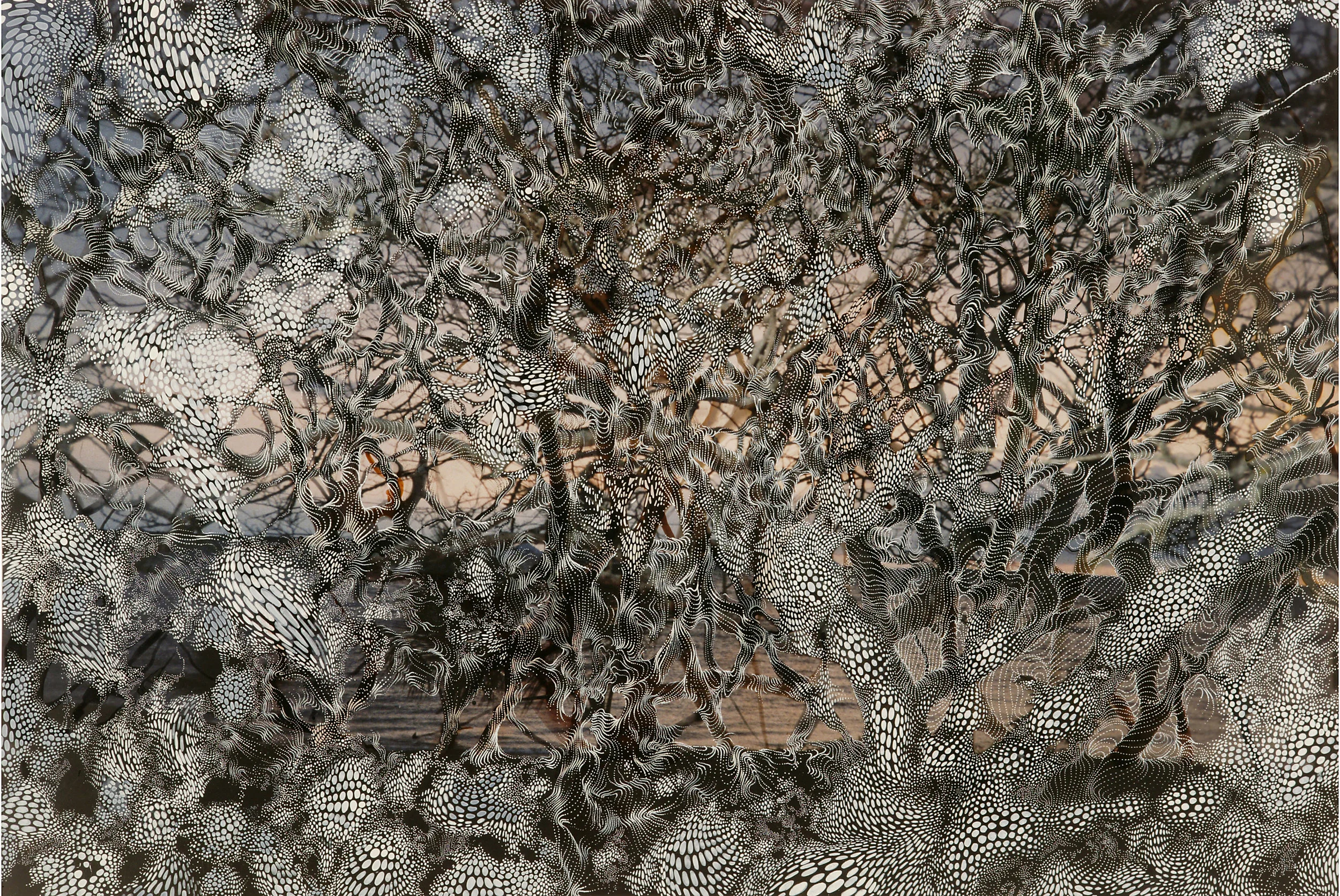 Twigs