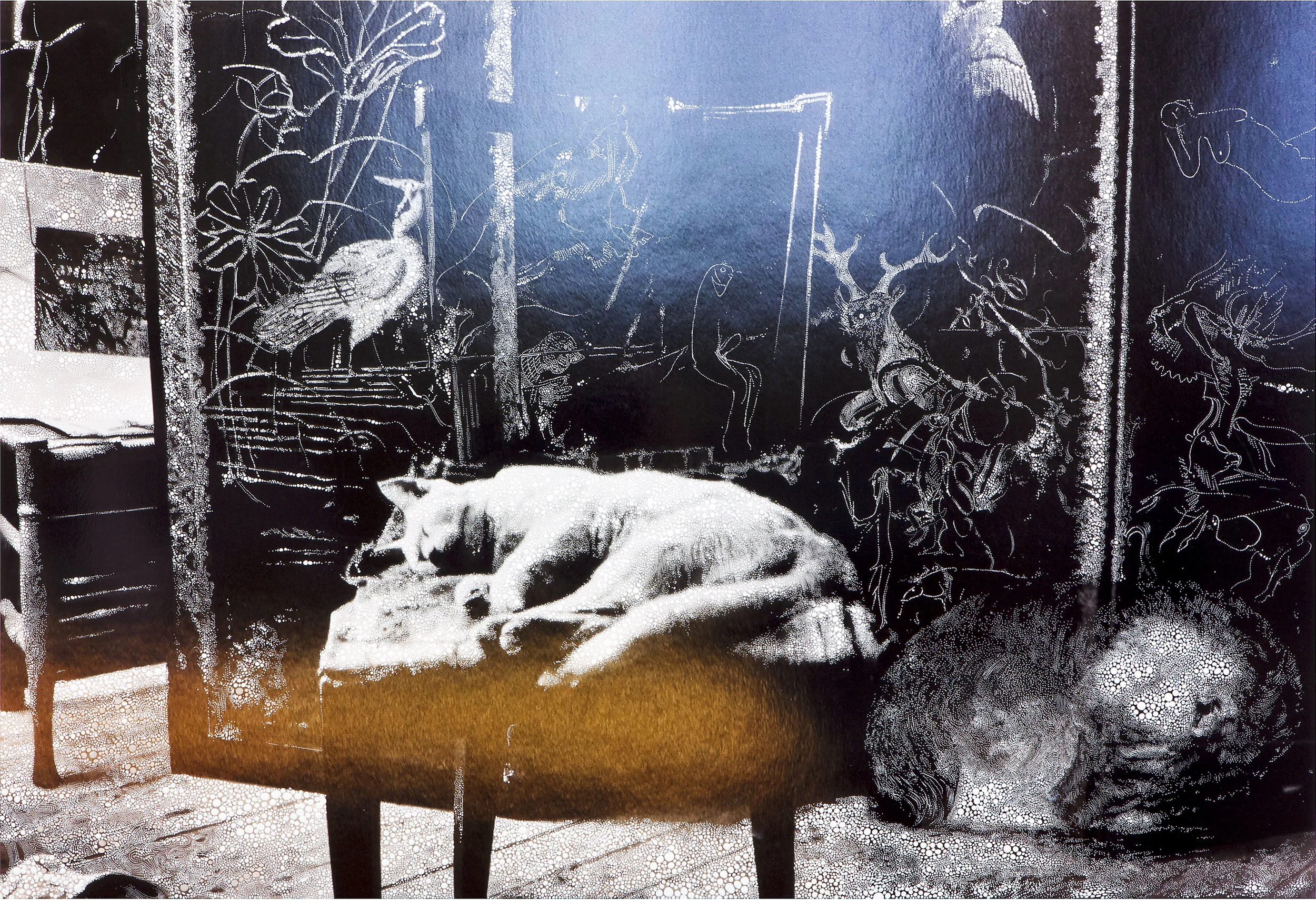 Cat and Sleeping Puppy in the Atelier