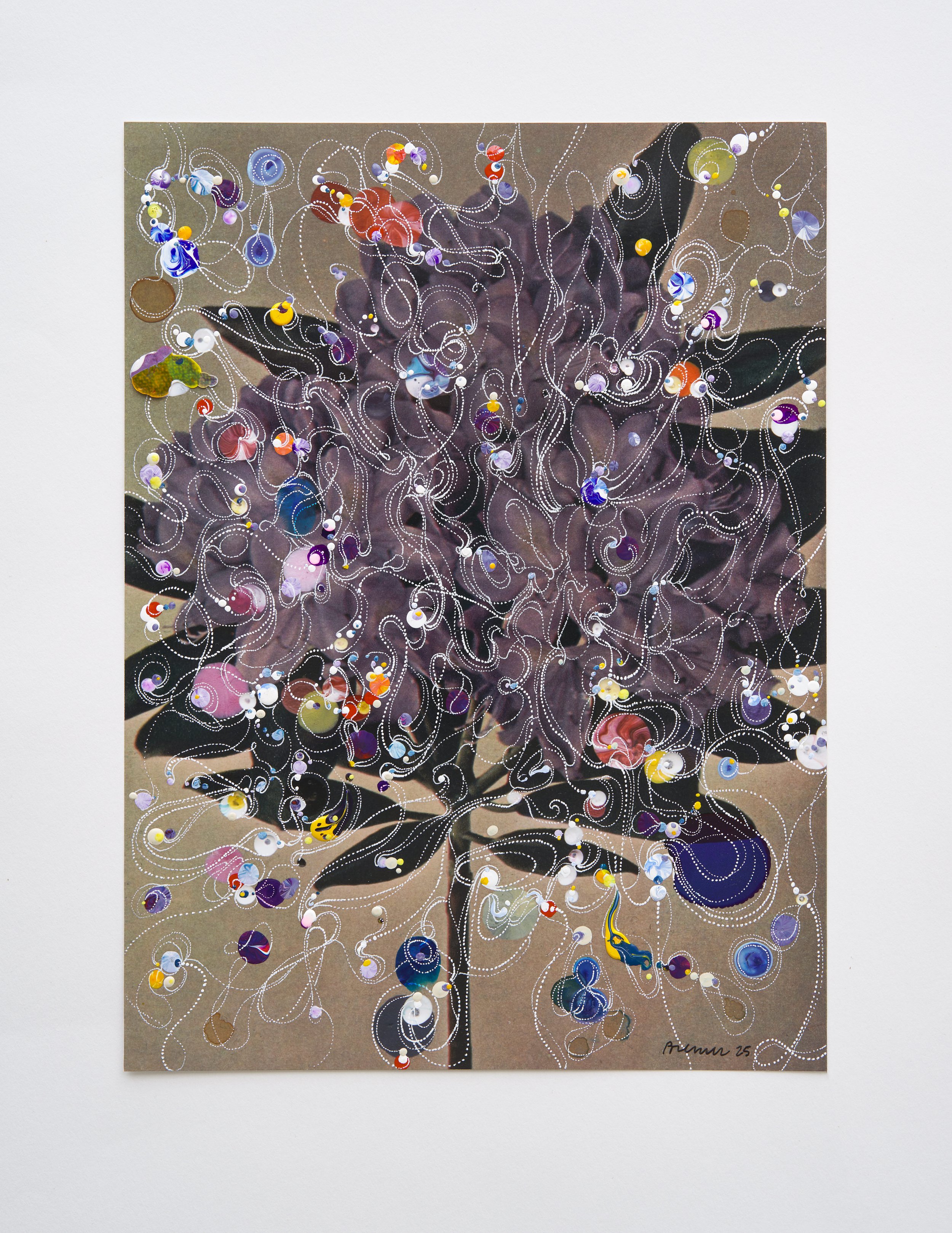 About the Errands of the Wind