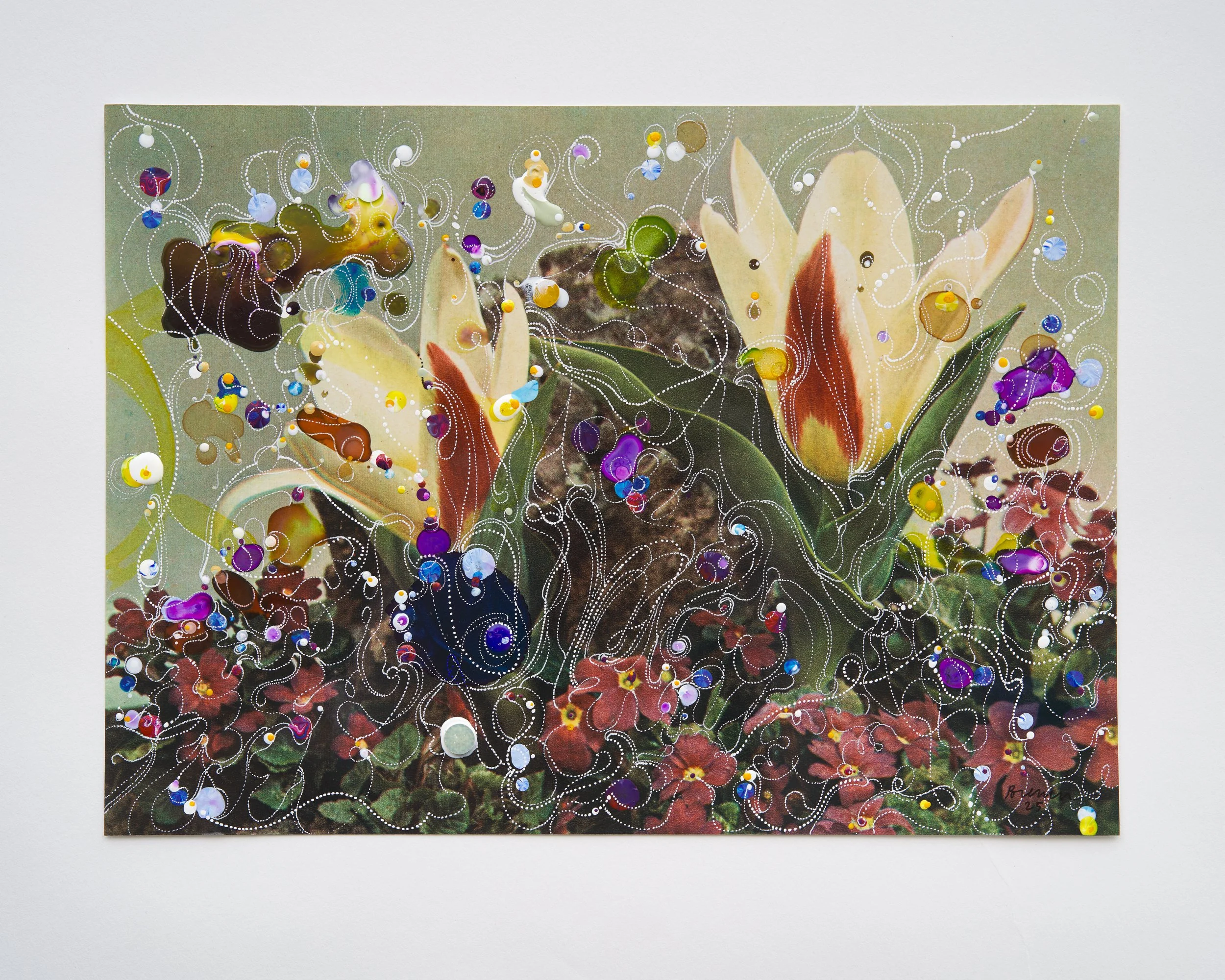 Touched Flowers and Furs and Cheeks