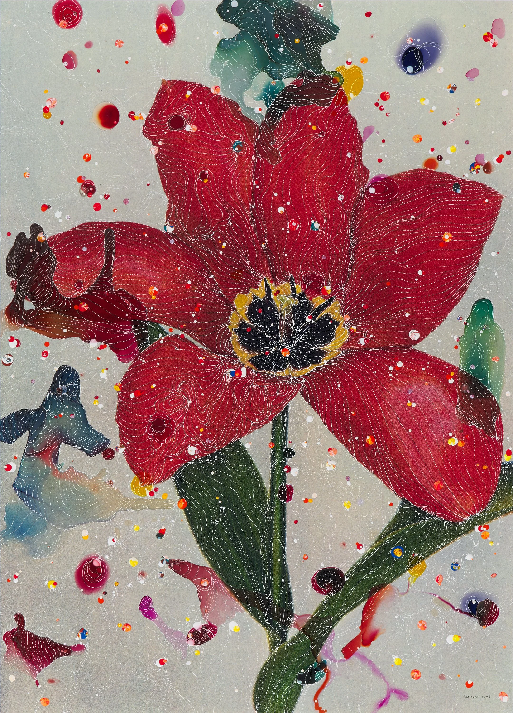 Tulipa Posteriana Madame Lefeber (Red Emperor)
