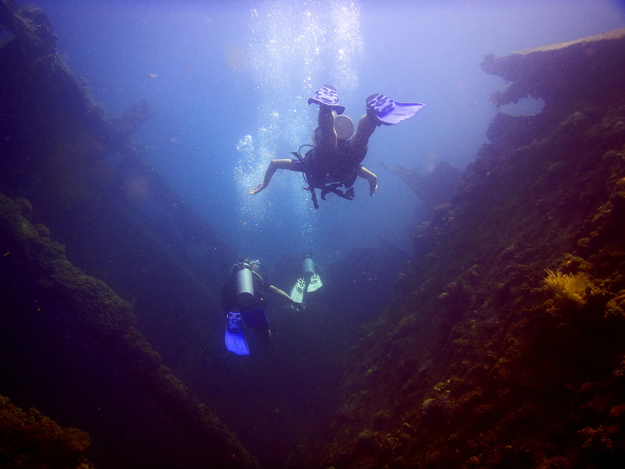 depicolzuane_dive2.jpg