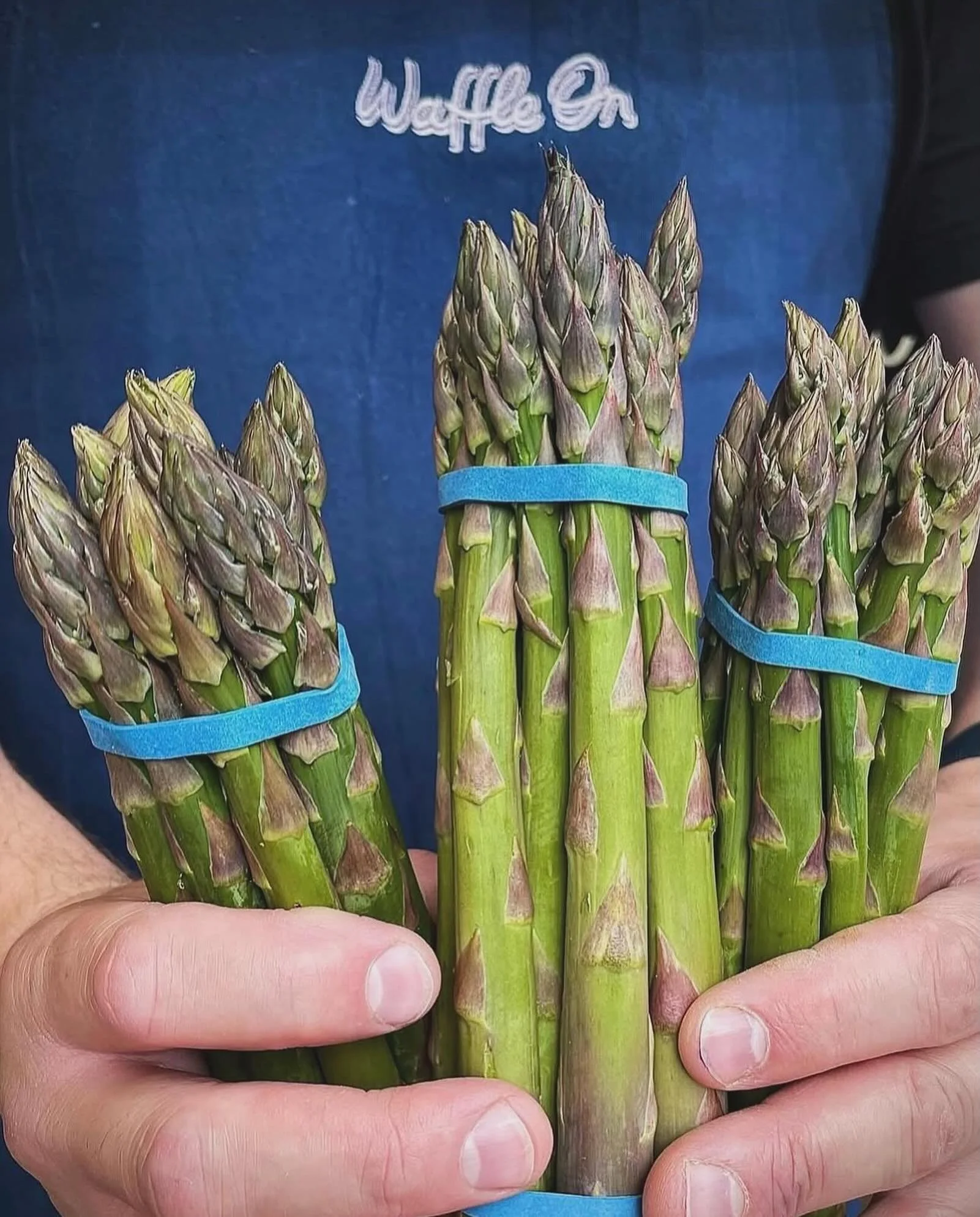 Using fresh local and organic ingredients (the asparagus&hellip; not Chris&rsquo; sausage fingers)

This weeks special - Griddled Norfolk asparagus, fresh rocket &amp; sun-blushed tomato salad, toasted mixed seeds, Harissa &amp; confit garlic aioli, 