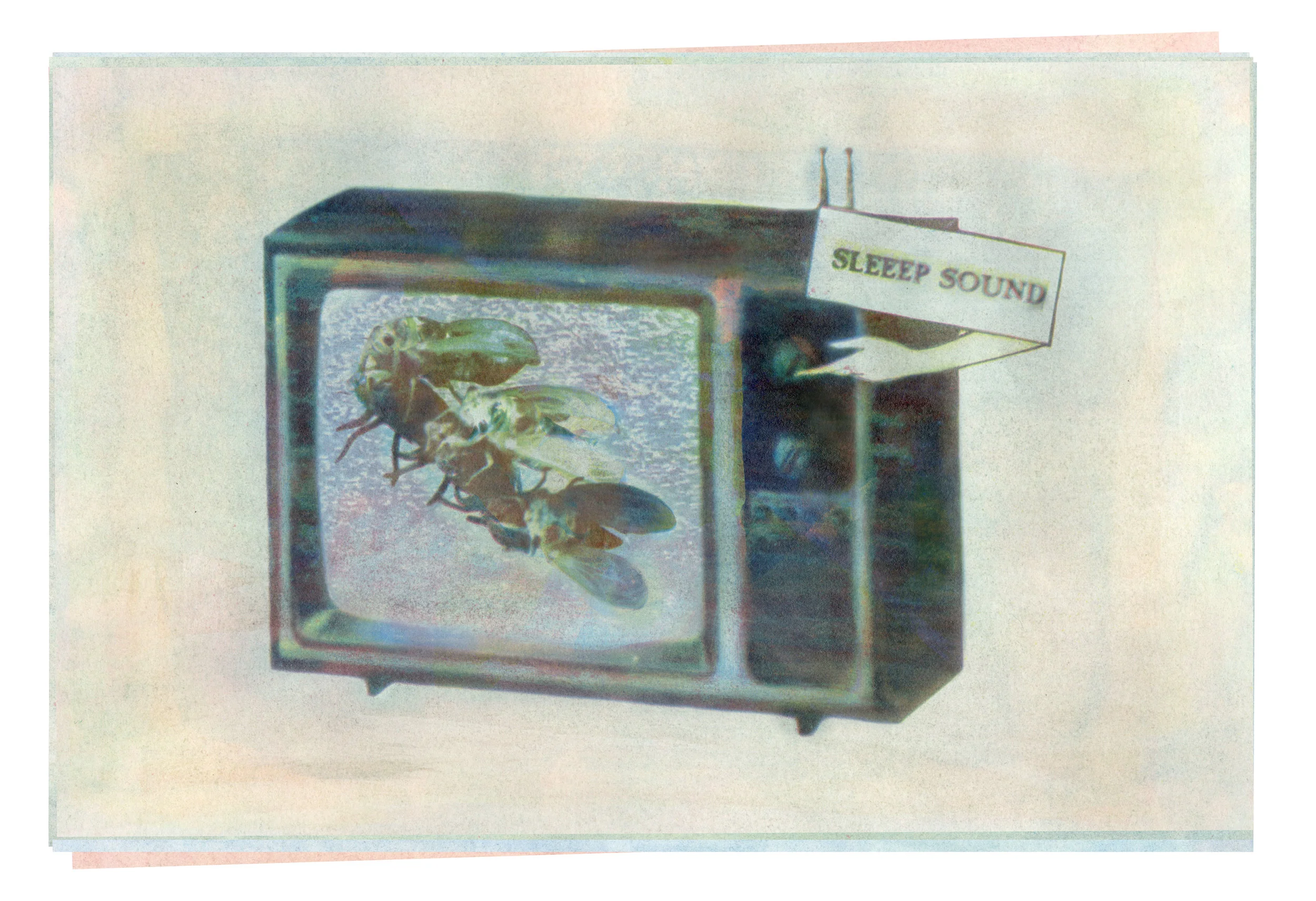 Sleep Sound, Gum Print, 2018