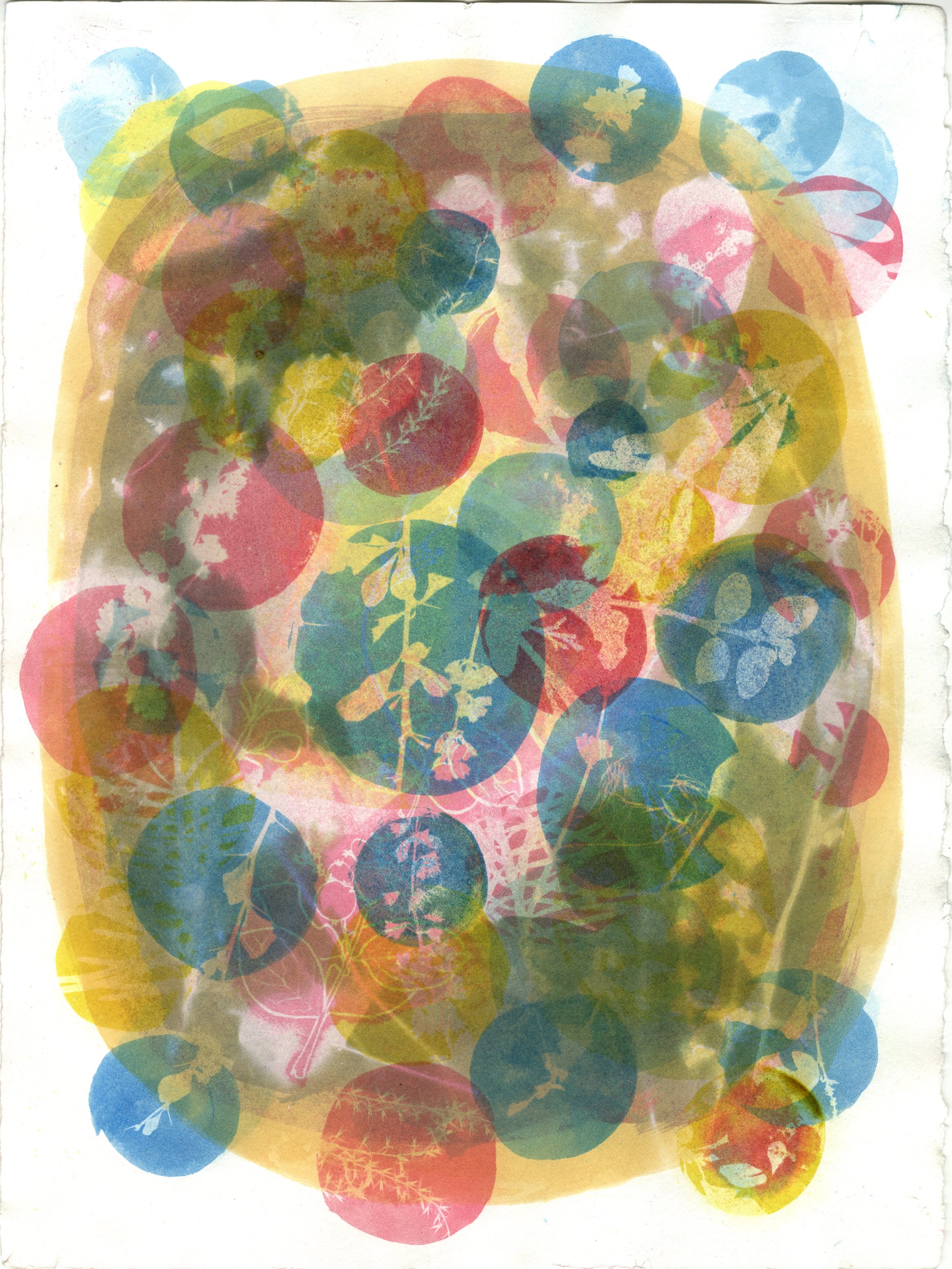 Floral Bubbles, Gum Print, 2018