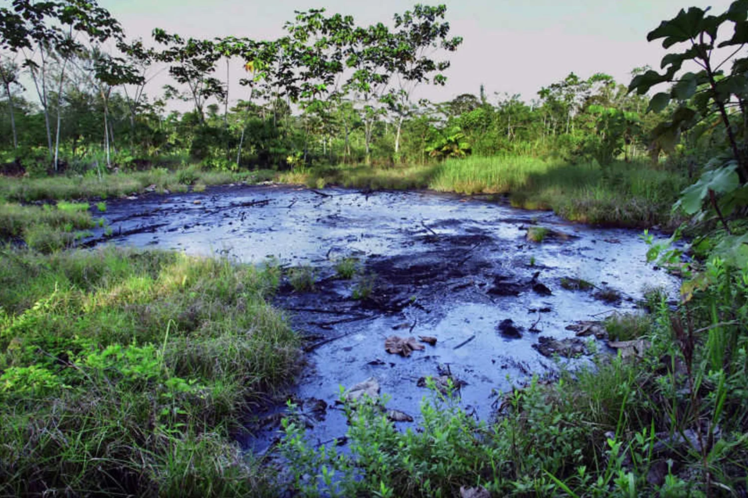 Ölkonzerne hinterließen viele Millionen Liter Rohöl-Abfälle im Amazonas und vergifteten das Wasser, dass die Bevölkerung zum Trinken, Baden und Fischen benötigt. Photo Credit: Lou Dematteis
